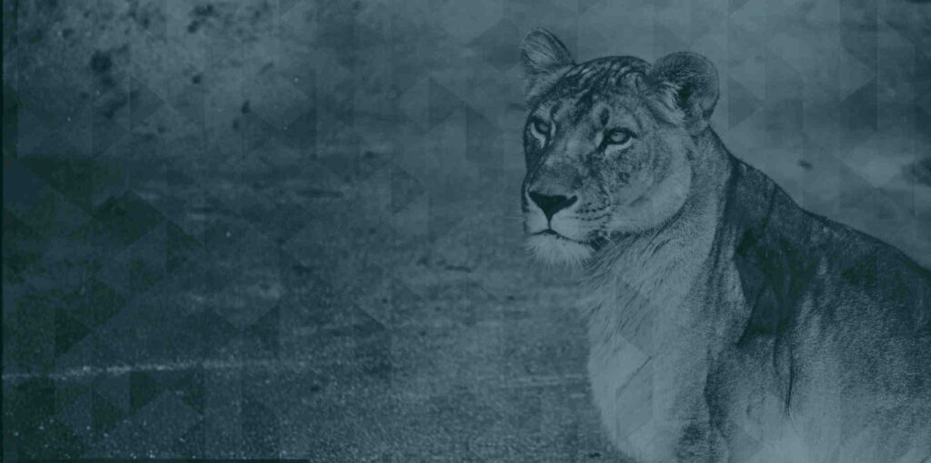 Managed Cancellations