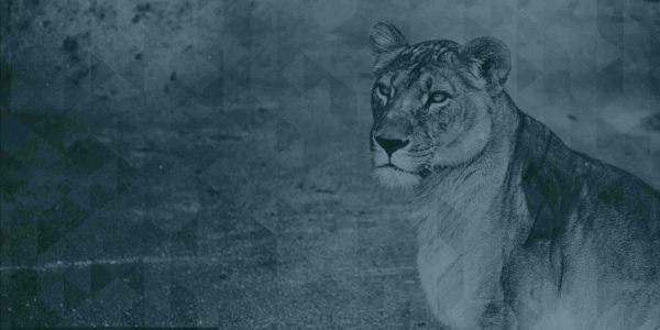 Managed Cancellations